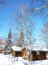 winter old cabins
